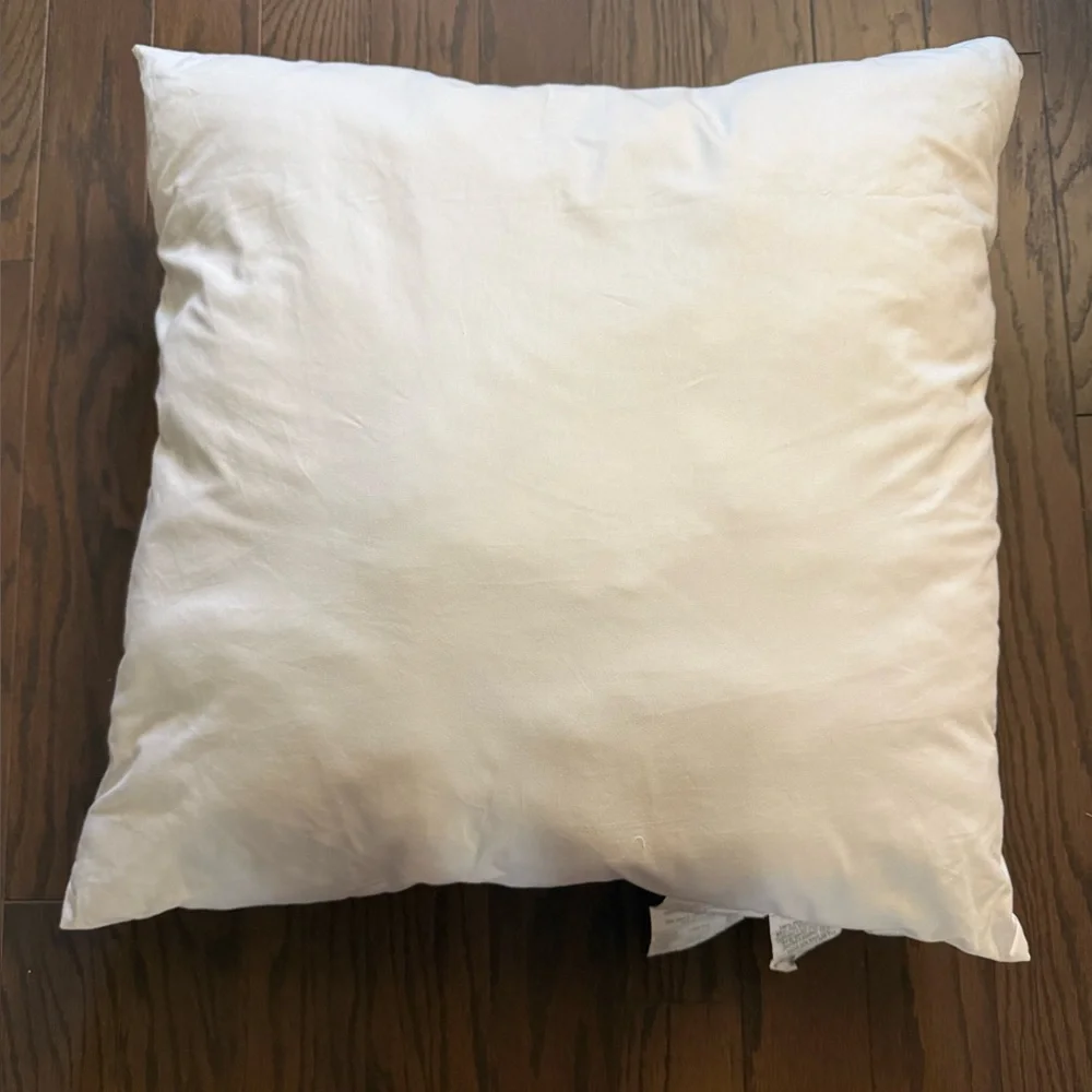 West Elm Down Alternative Pillow insert 24x24 inches